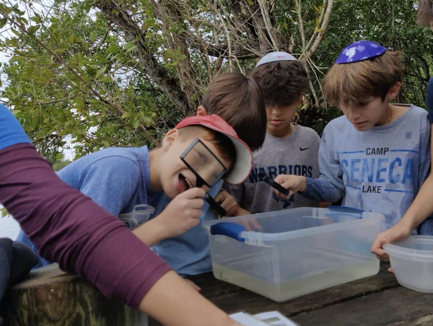 6th Grade Students Examine Estuarine Ecology Up Close