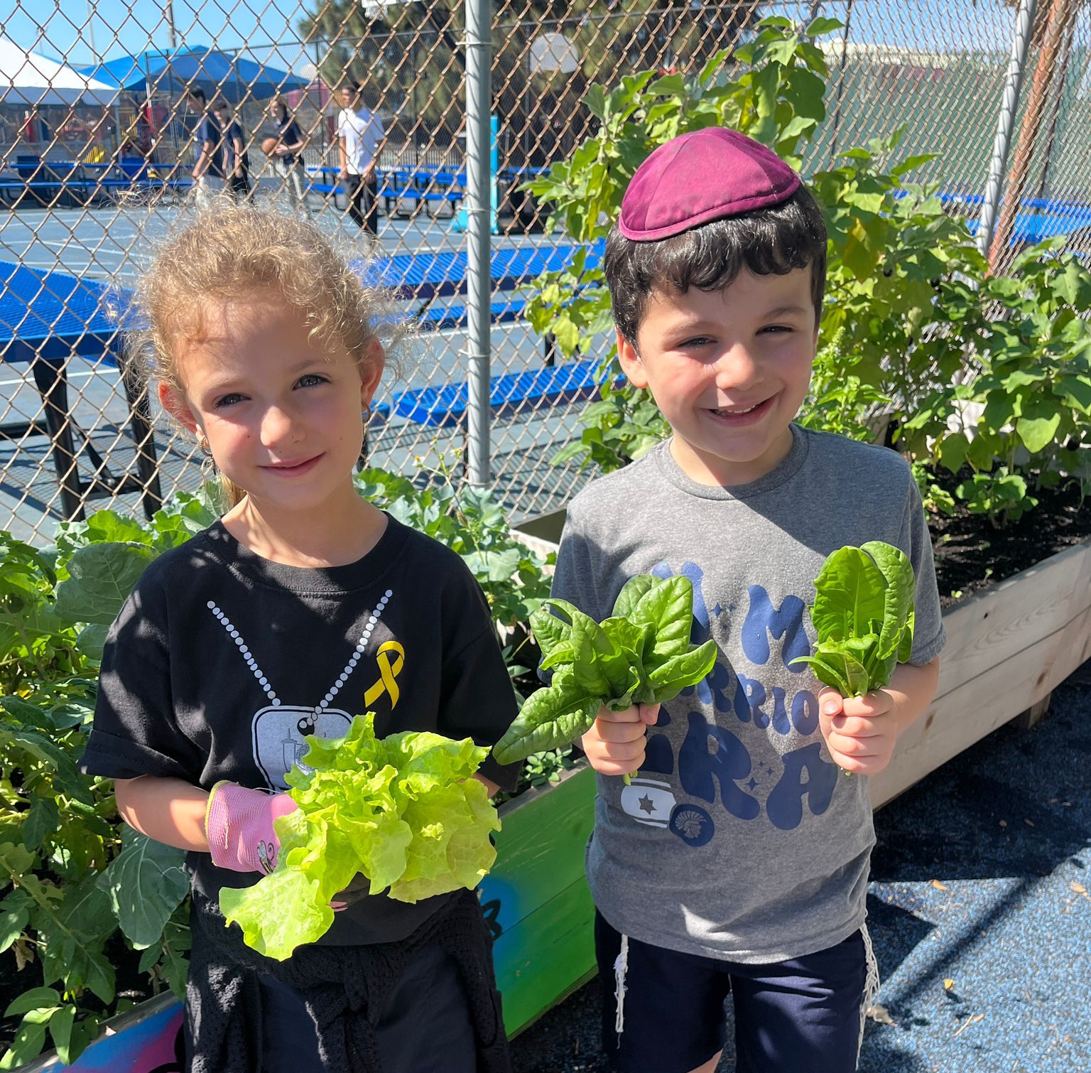 Fresh from the Garden: Our First Tomato Harvest